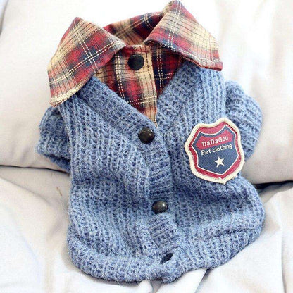 Back to School Cardigan for Your Dog or Cat | sizes S-XXL - Pet Clothing -  sanroccoitalia.it