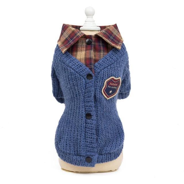 Back to School Cardigan for Your Dog or Cat | sizes S-XXL - Pet Clothing -  sanroccoitalia.it