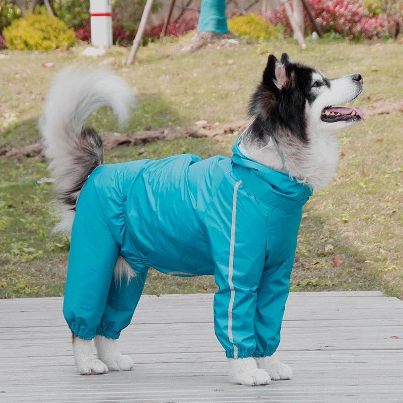 Full Coverage Dog Raincoat - Premium Pet Clothing - Shop now at San Rocco Italia