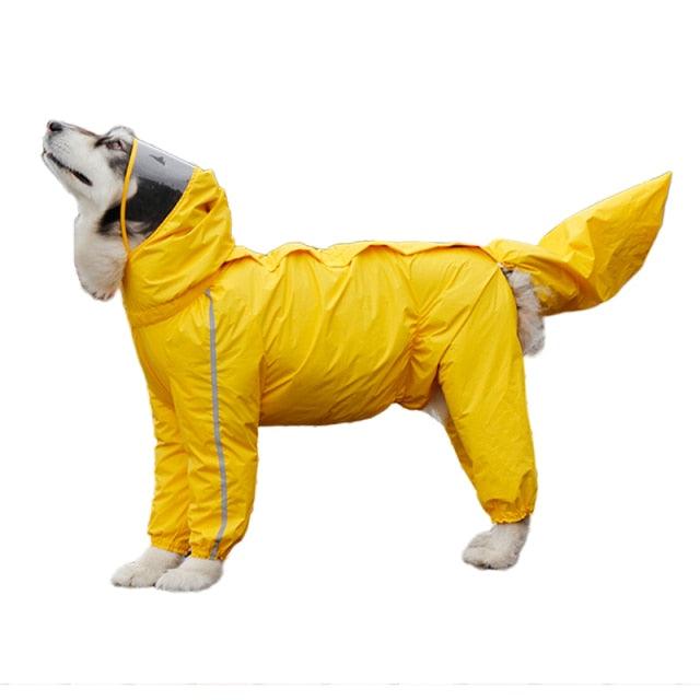 Dog raincoat 2025 full coverage