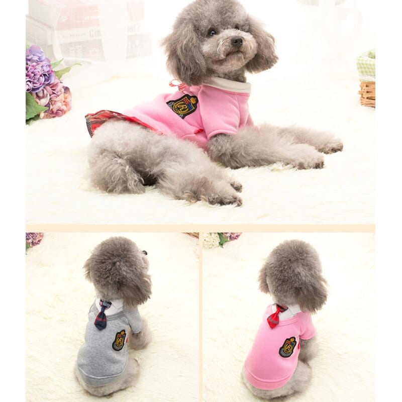 School Uniform for Small Dogs or Cats - San Rocco Italia
