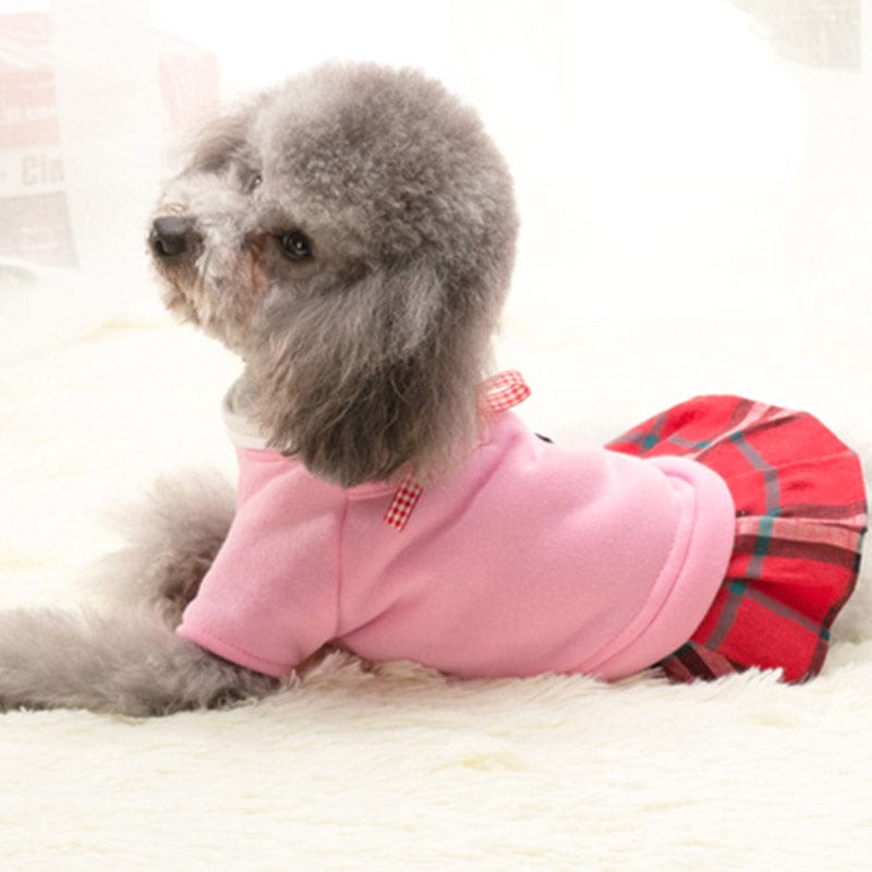 School Uniform for Small Dogs or Cats - San Rocco Italia