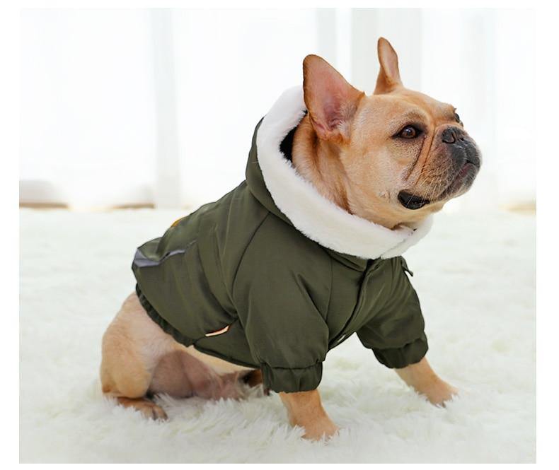 Warm Jacket For Small and Medium Dogs - Premium Pet Clothing - Shop now at San Rocco Italia