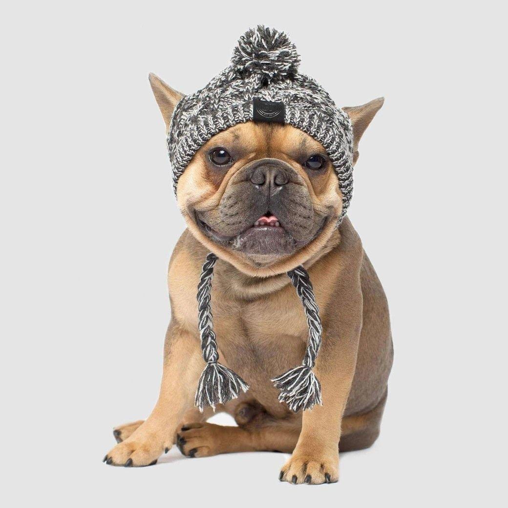 Dog best sale hats canada