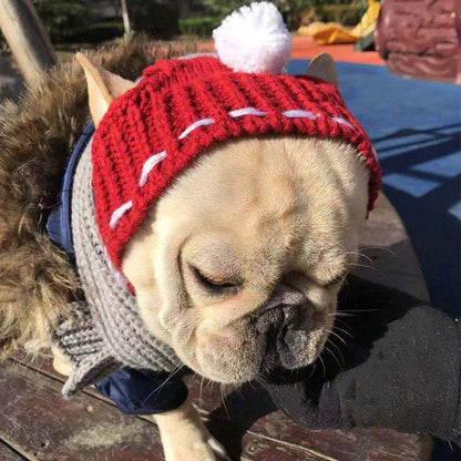 Winter Dog Hat - Premium Pet Clothing - Shop now at San Rocco Italia