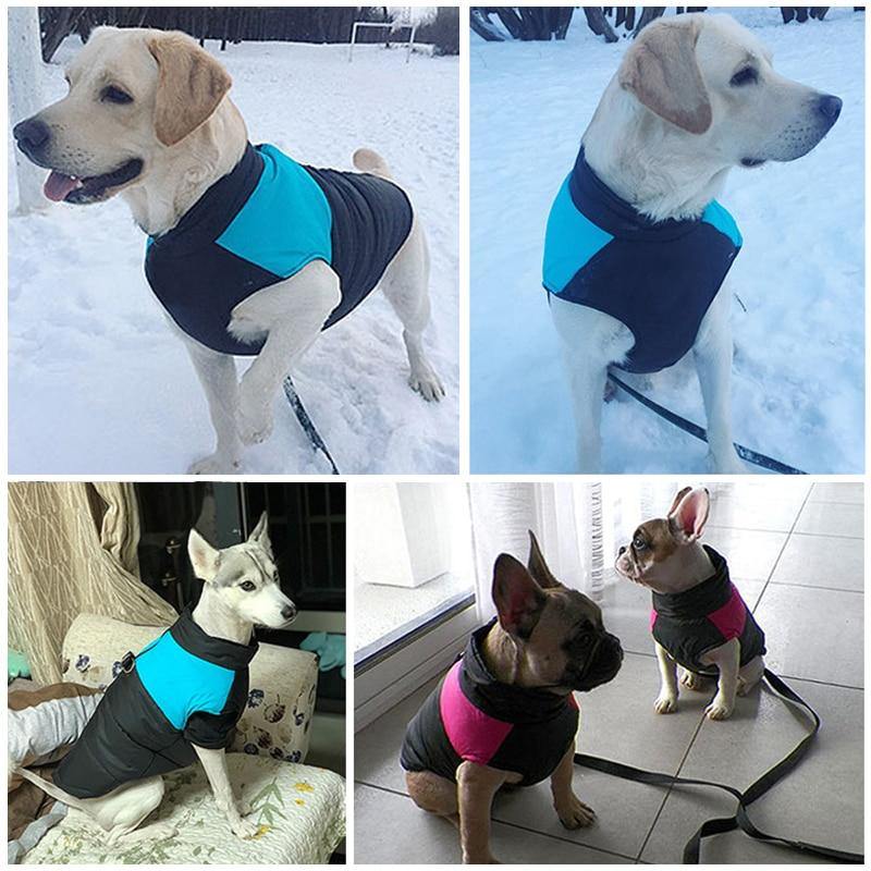 Winter Dog Vest  - Fits Dogs of all Sizes - S-7XL - Premium Pet Clothing - Just €12.95! Shop now at San Rocco Italia