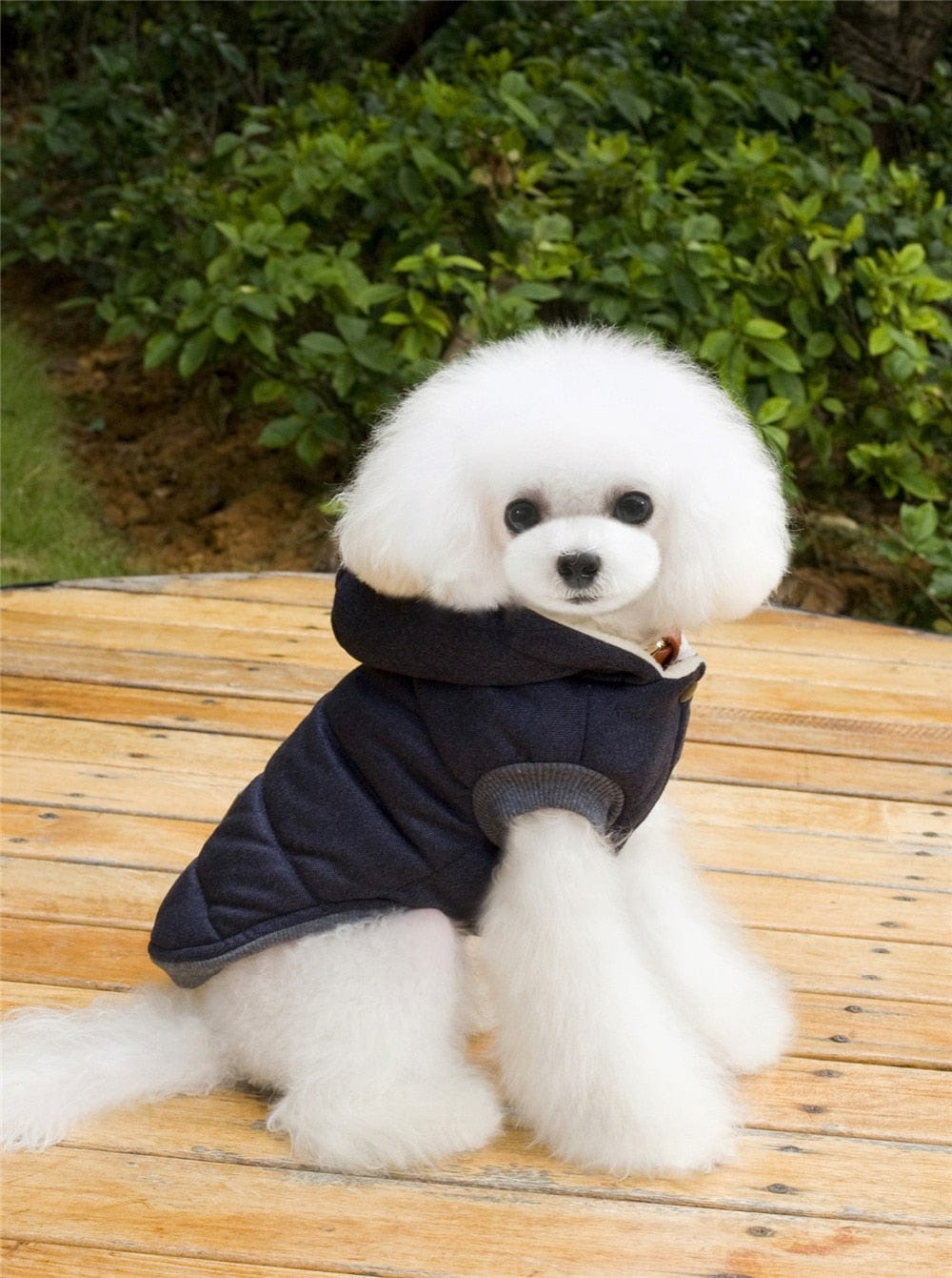 Winter Jackets for Small Dogs - Premium Pet Clothing - Just €12.95! Shop now at San Rocco Italia