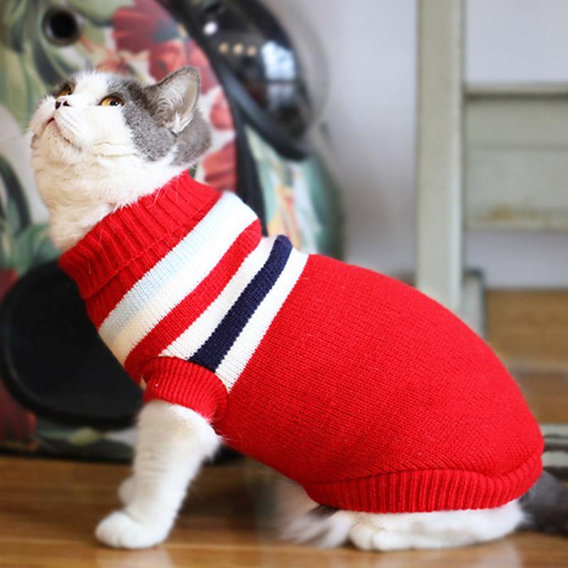 Winter Sweater for Small Dogs/Cats - Premium Pet Clothing - Shop now at San Rocco Italia