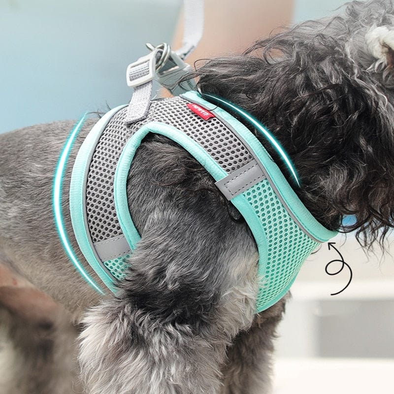 Soft padded sales dog harness