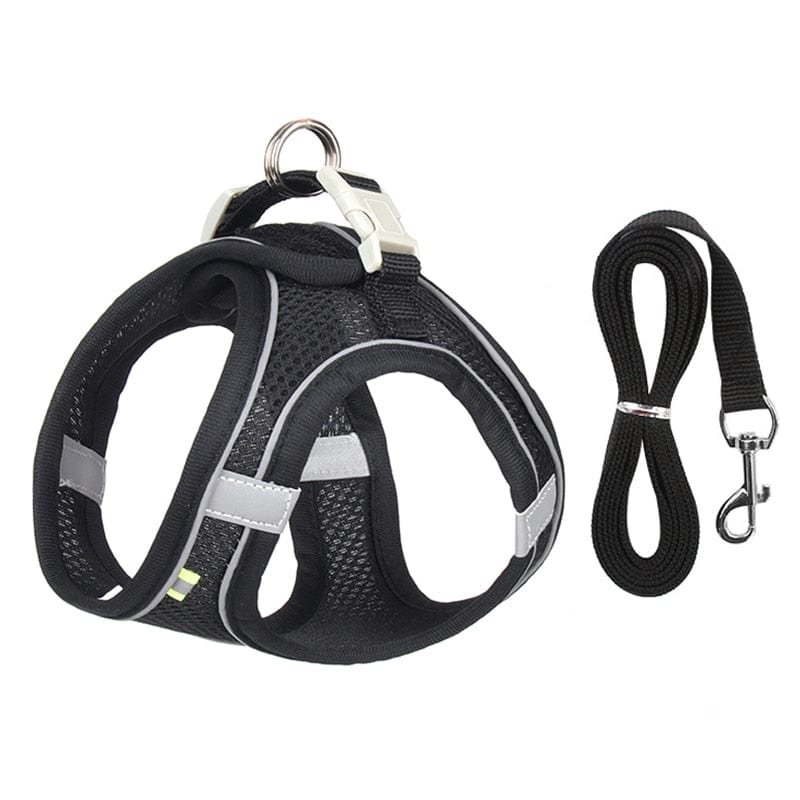 Comfort Fit, Soft Padded Dog Harness and Leash Set for Small Dogs - Premium Pet Collars & Harnesses - Shop now at San Rocco Italia