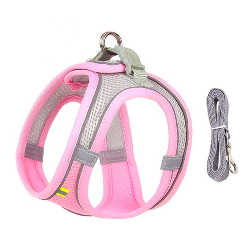 Comfort Fit, Soft Padded Dog Harness and Leash Set for Small Dogs - Premium Pet Collars & Harnesses - Shop now at San Rocco Italia