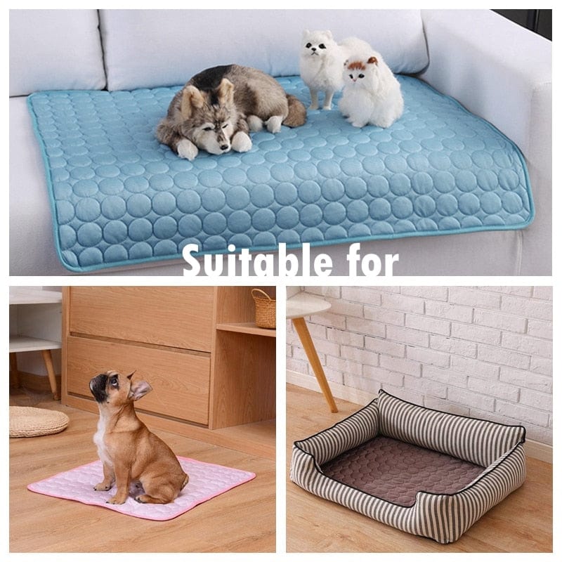 Pet Cooling Mat - XS to XXL - Premium Pet products - Shop now at San Rocco Italia