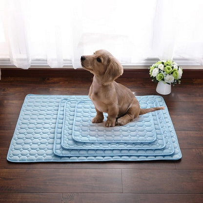 Pet Cooling Mat - XS to XXL - Premium Pet products - Shop now at San Rocco Italia