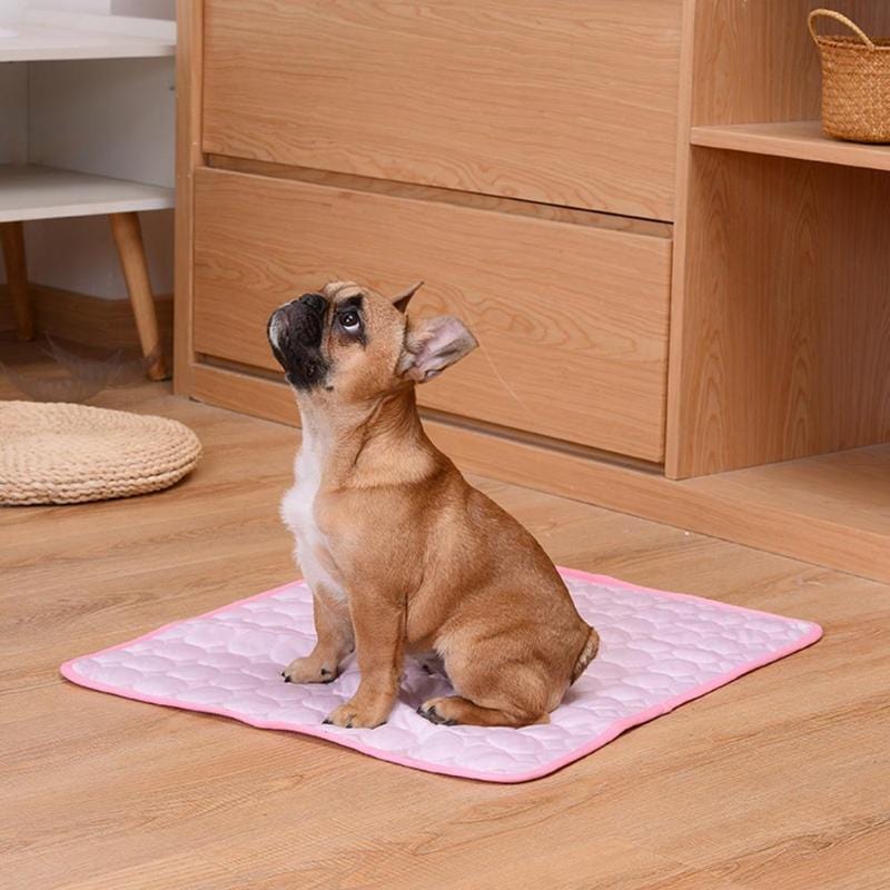 Pet Cooling Mat - XS to XXL - Premium Pet products - Shop now at San Rocco Italia