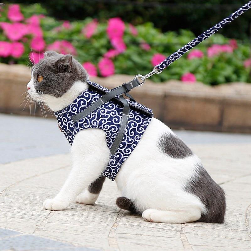 Cat Walking Jacket Harness and Leash - Premium Pet products - Just €31.95! Shop now at San Rocco Italia