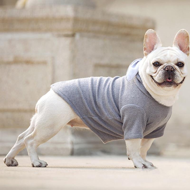 Cute Bunny Ear Hoodie For Small Dogs or Cats - Premium Pet products - Just €15.95! Shop now at San Rocco Italia