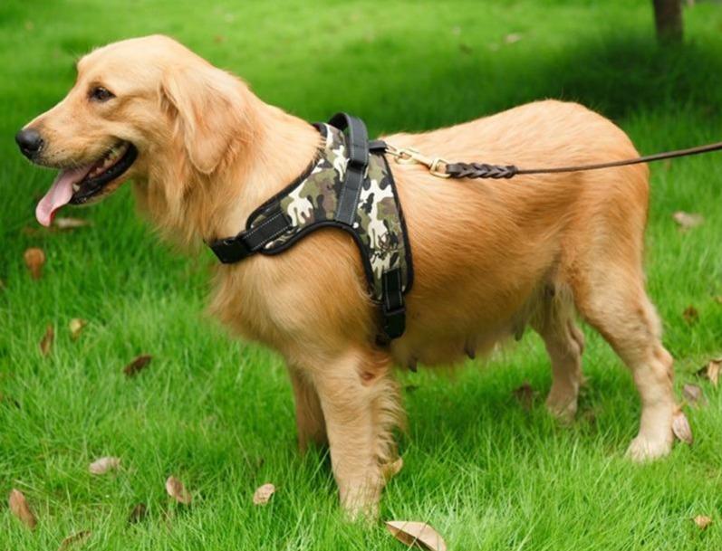Heavy-Duty Dog Harness - Premium Pet products - Shop now at San Rocco Italia