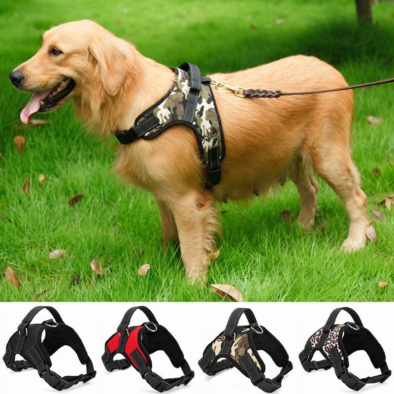 Heavy-Duty Dog Harness - Premium Pet products - Shop now at San Rocco Italia