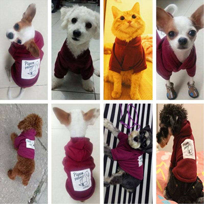 Hoodie for Small and Medium Dogs or Cats - Premium Pet products - Shop now at San Rocco Italia
