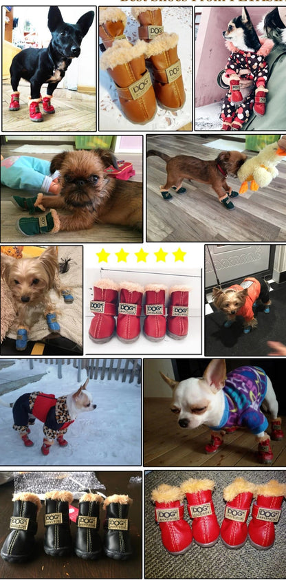 Winter boots for your dog -  www.sanroccoitalia.it - Pet products