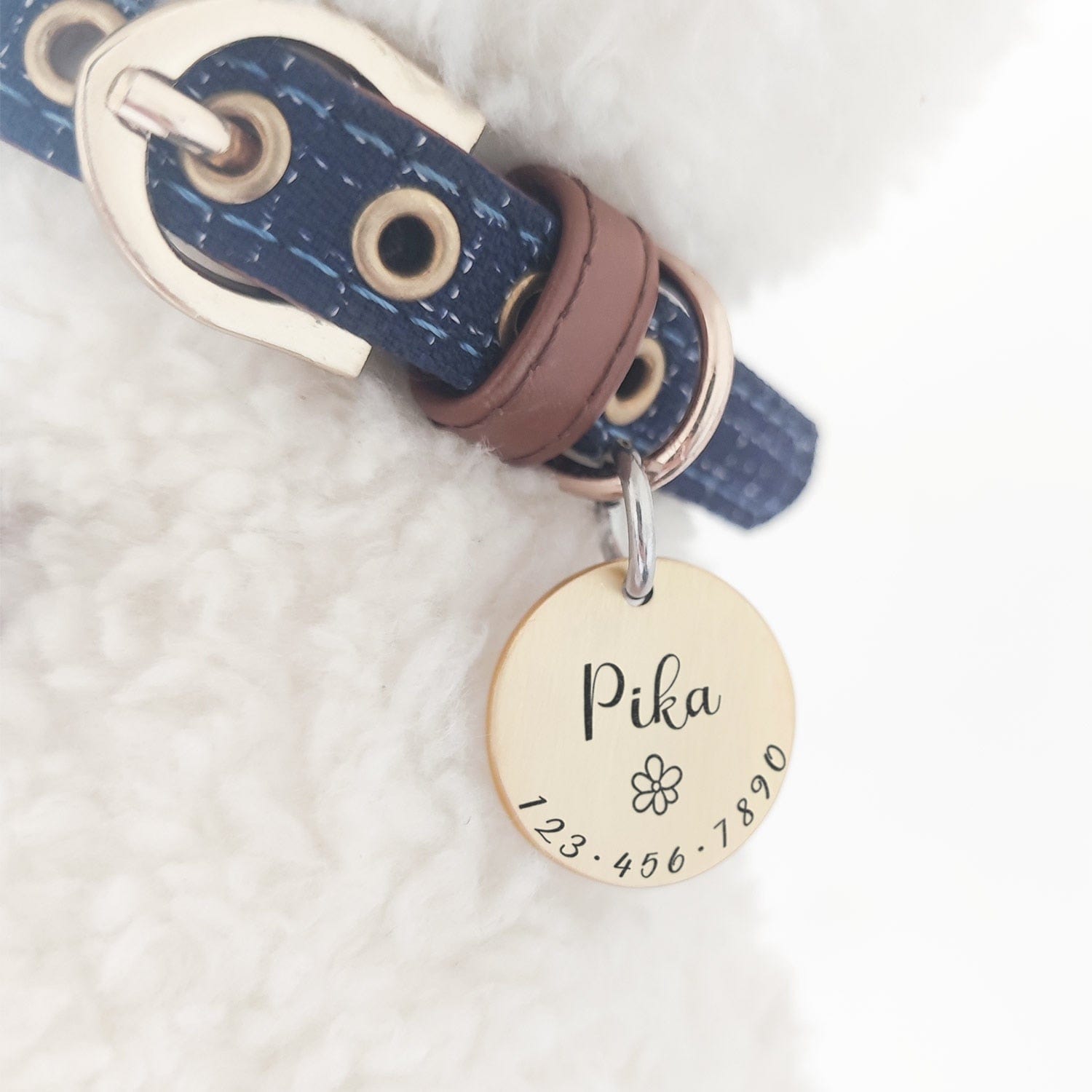 Personalised  Engraved Pet ID Tags - Premium Pet products - Just €8.95! Shop now at San Rocco Italia