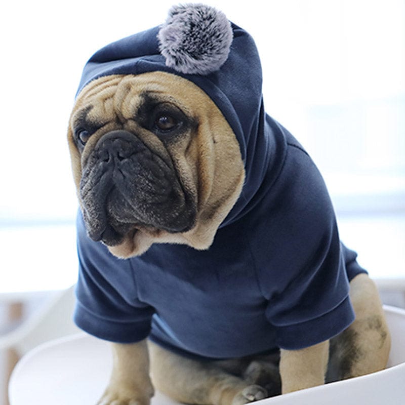 Plush Hoodie for Small/Medium Dogs or Cats - Premium Pet products - Shop now at San Rocco Italia